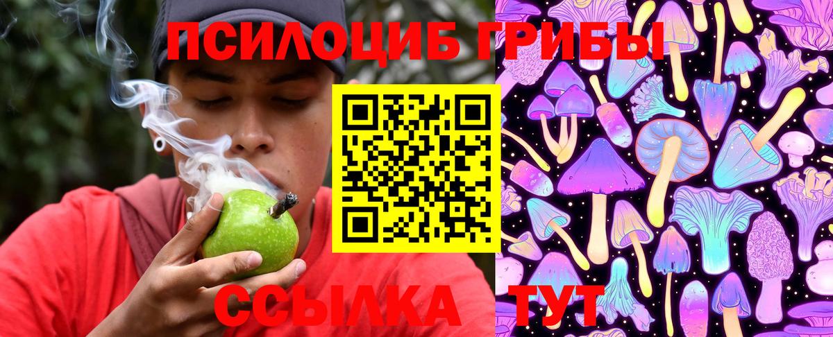 Псилоцибиновые грибы Psilocybine cubensis Алатырь